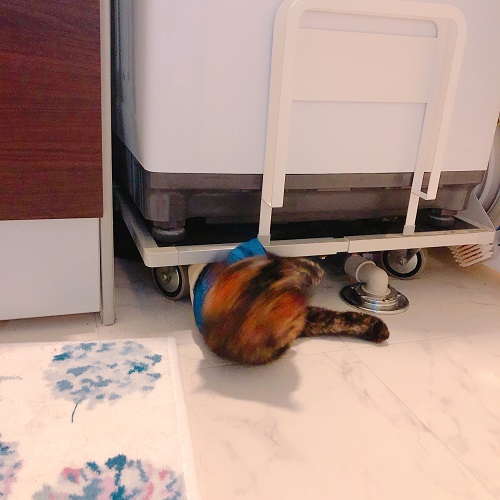 f:id:choco116choco:20200828094653j:plain