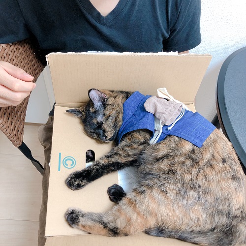 f:id:choco116choco:20200831074740j:plain