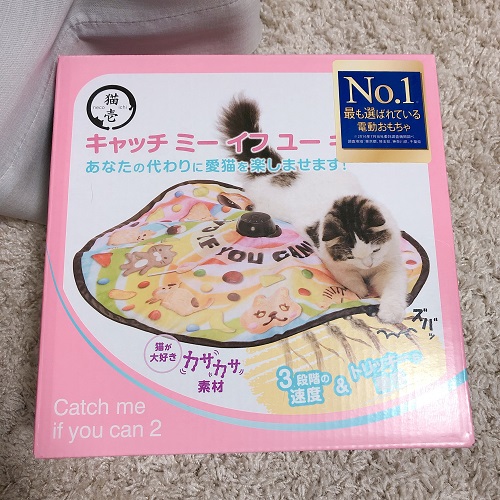 f:id:choco116choco:20200907083908j:plain f:id:choco116choco:20200907083908j:plain