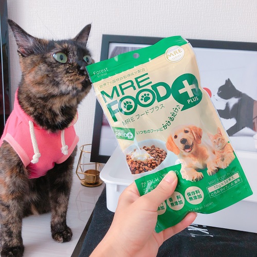 f:id:choco116choco:20200914080321j:plain f:id:choco116choco:20200914080321j:plain