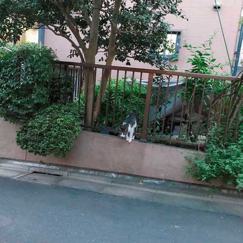 f:id:choco116choco:20200928075351j:plain