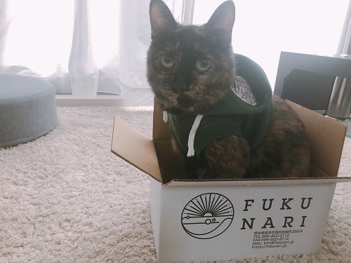 f:id:choco116choco:20201009075048j:plain