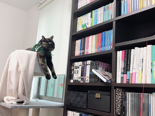 f:id:choco116choco:20201009091452j:plain