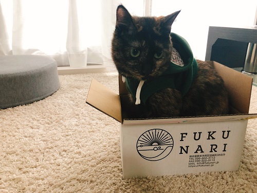 f:id:choco116choco:20201009092538j:plain