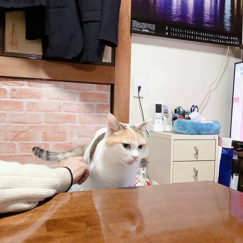 f:id:choco116choco:20201012074740j:plain