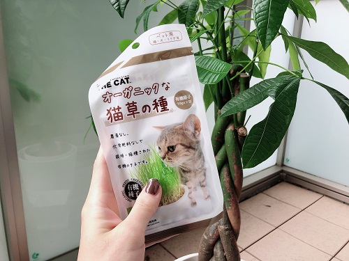f:id:choco116choco:20201026073154j:plain