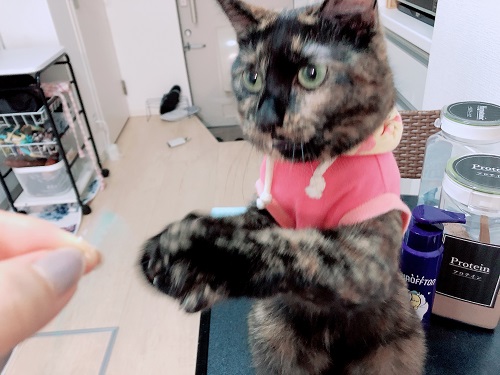 f:id:choco116choco:20201026075415j:plain