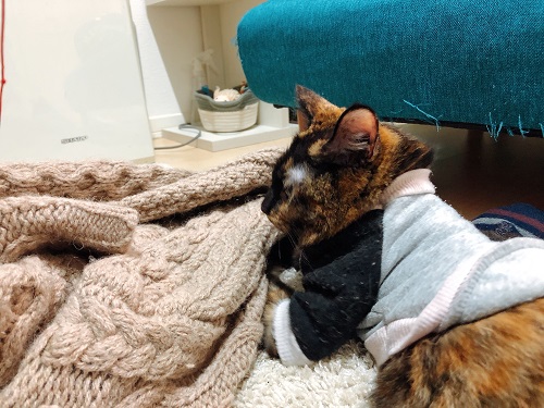 f:id:choco116choco:20201202075840j:plain