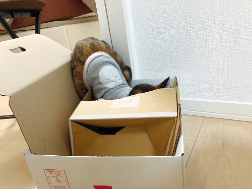 f:id:choco116choco:20201202075936j:plain