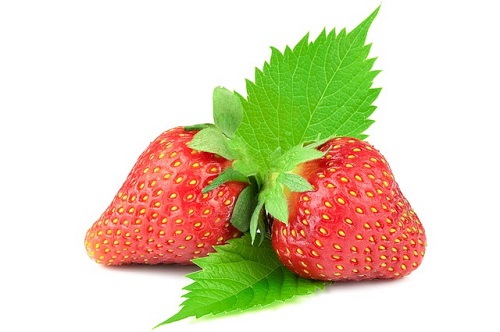 f:id:choco116choco:20201207125522j:plain
