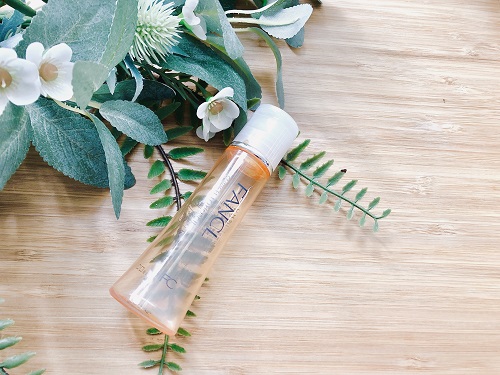 f:id:choco116choco:20201215131910j:plain