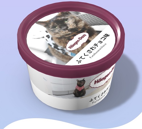 f:id:choco116choco:20201216080851j:plain