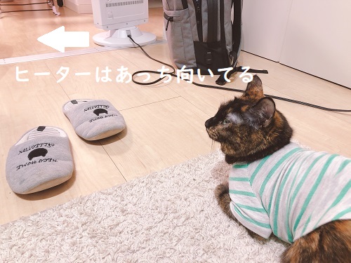 f:id:choco116choco:20201218080908j:plain