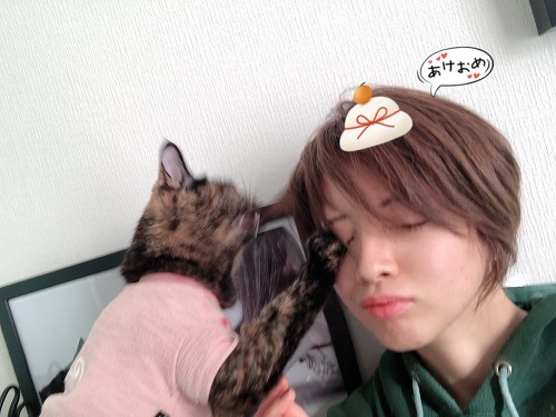 f:id:choco116choco:20210104073230j:plain
