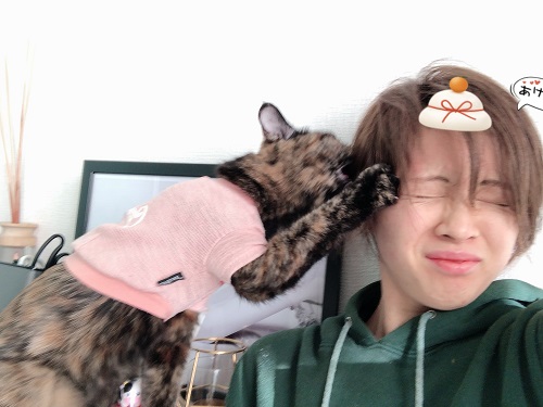 f:id:choco116choco:20210104073352j:plain