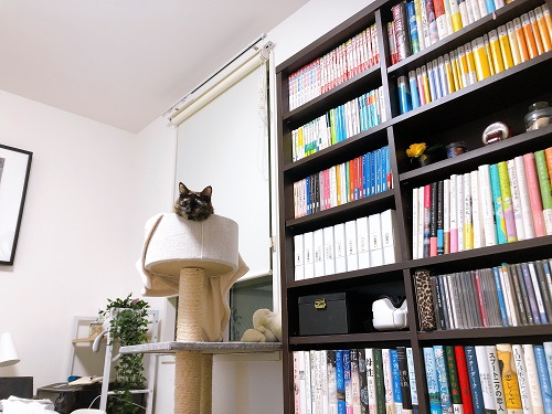 f:id:choco116choco:20210115074539j:plain