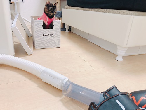 f:id:choco116choco:20210122074126j:plain