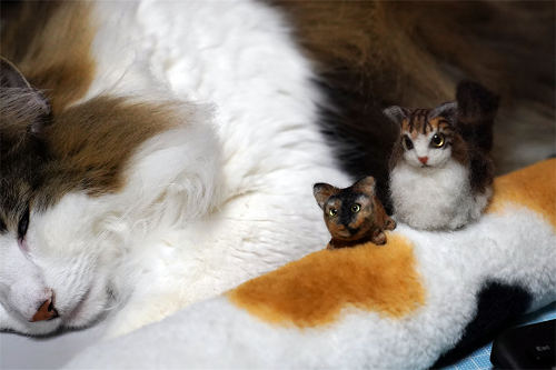 f:id:choco116choco:20210125071825p:plain