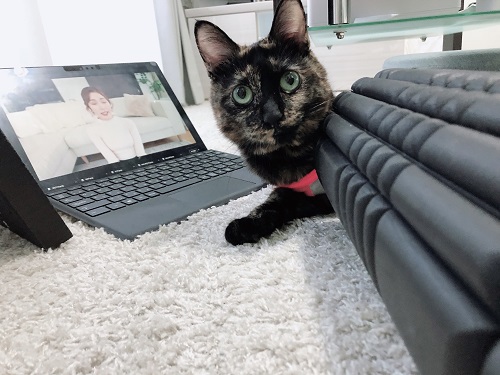 f:id:choco116choco:20210205073701j:plain