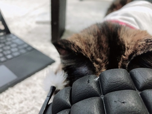 f:id:choco116choco:20210205074128j:plain