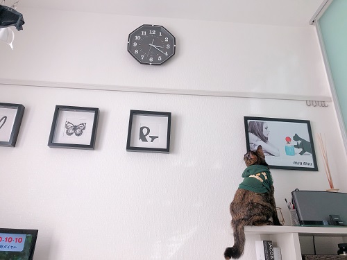 f:id:choco116choco:20210217073149j:plain