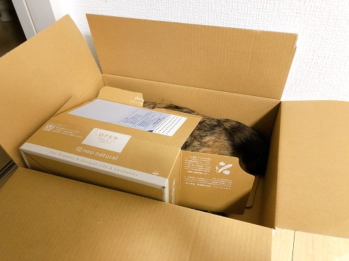 f:id:choco116choco:20210222065721j:plain