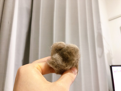 f:id:choco116choco:20210222070423j:plain