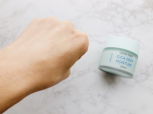 f:id:choco116choco:20210301084415j:plain