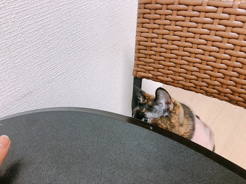 f:id:choco116choco:20210319073323j:plain