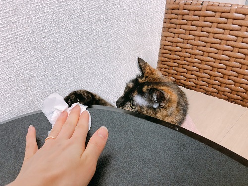 f:id:choco116choco:20210319073346j:plain