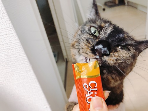 f:id:choco116choco:20210319073718j:plain