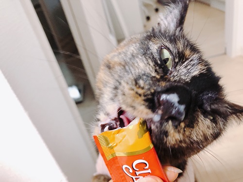 f:id:choco116choco:20210319073911j:plain