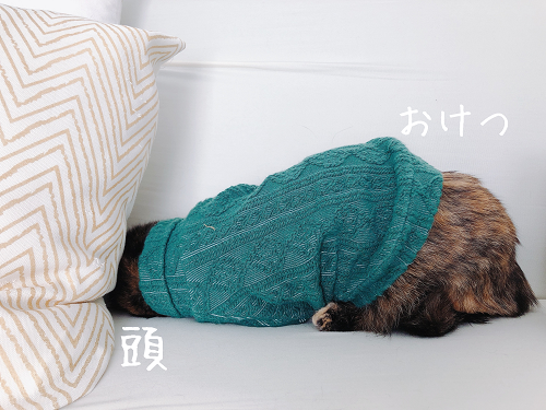 f:id:choco116choco:20210319074216p:plain