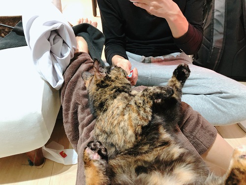 f:id:choco116choco:20210324072130j:plain