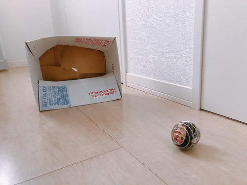 f:id:choco116choco:20210326075033j:plain