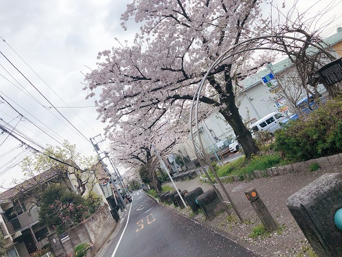 f:id:choco116choco:20210331071709j:plain