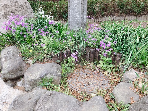 f:id:choco116choco:20210405073036j:plain