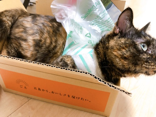 f:id:choco116choco:20210412073338j:plain