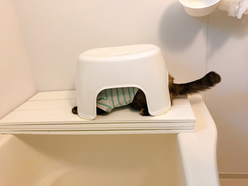 f:id:choco116choco:20210412073443j:plain