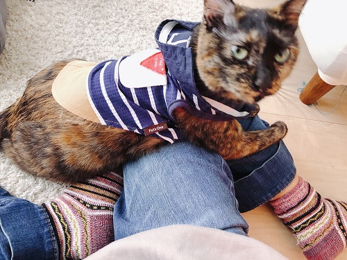 f:id:choco116choco:20210416075001j:plain