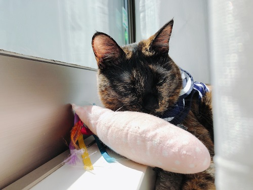 f:id:choco116choco:20210416091106j:plain