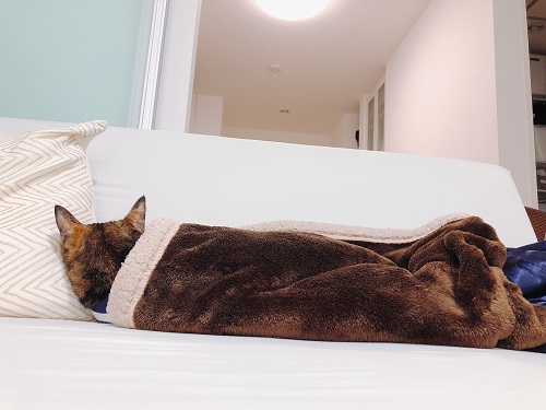 f:id:choco116choco:20210419075456j:plain