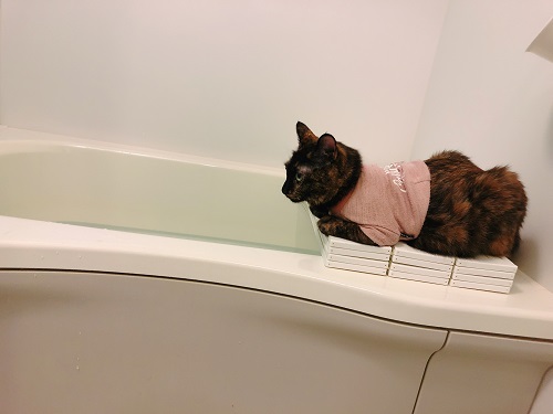 f:id:choco116choco:20210521071114j:plain