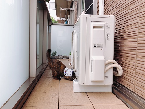 f:id:choco116choco:20210521072424j:plain