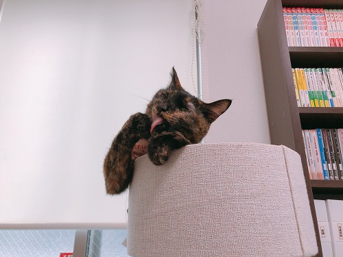 f:id:choco116choco:20210521072846j:plain