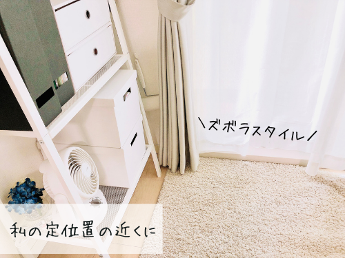 100均 猫用品の収納アイデア 猫じゃらしの整理整頓術で使いやすさがアップ がさつ女子の整える暮らし