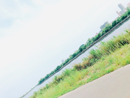 f:id:choco116choco:20210531070612j:plain
