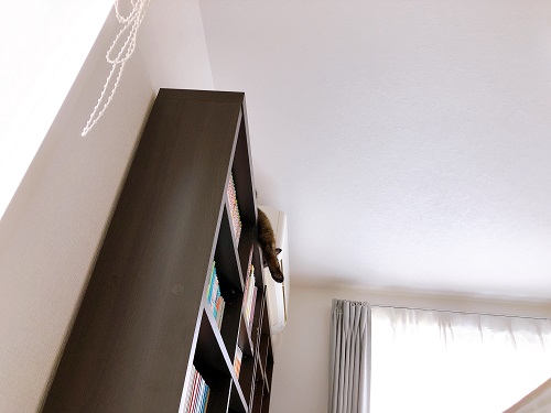 f:id:choco116choco:20210602073350j:plain