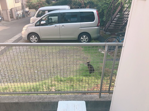 f:id:choco116choco:20210602074043j:plain