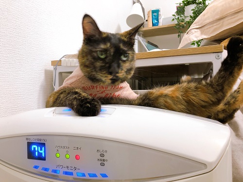 f:id:choco116choco:20210607065512j:plain